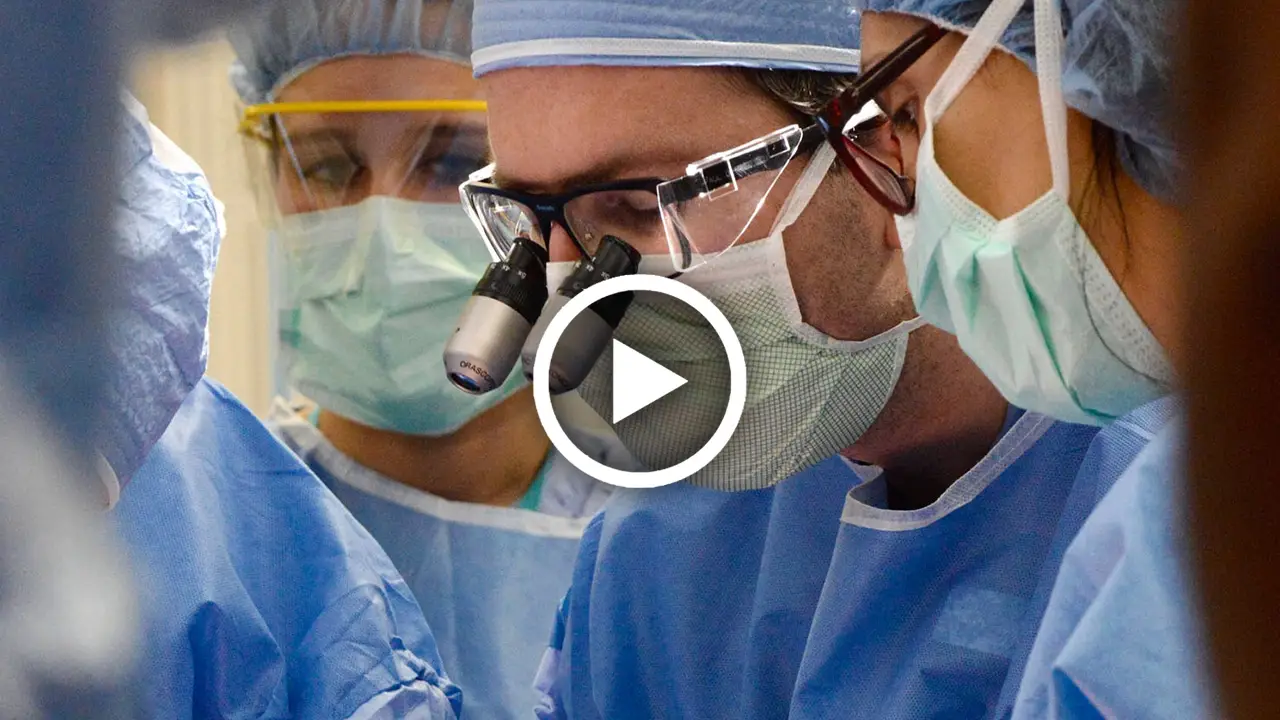 Procedimientos cosméticos modernos presentados por un especialista.